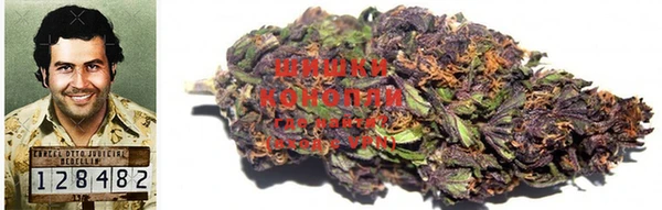 прущая мука Лагань