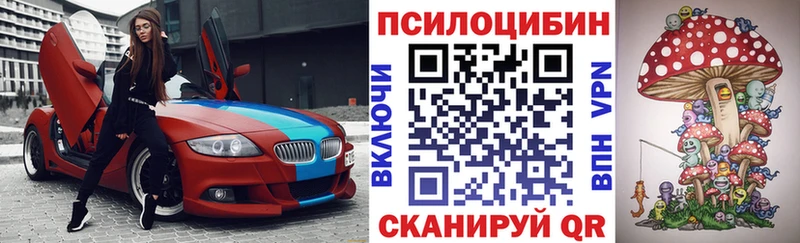 Купить где  Амурск  Псилоцибиновые грибы прущие грибы 